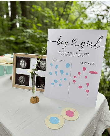 Gender Reveal Party Setup